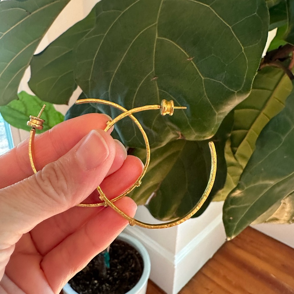 Elegant Gold Hoop Earrings